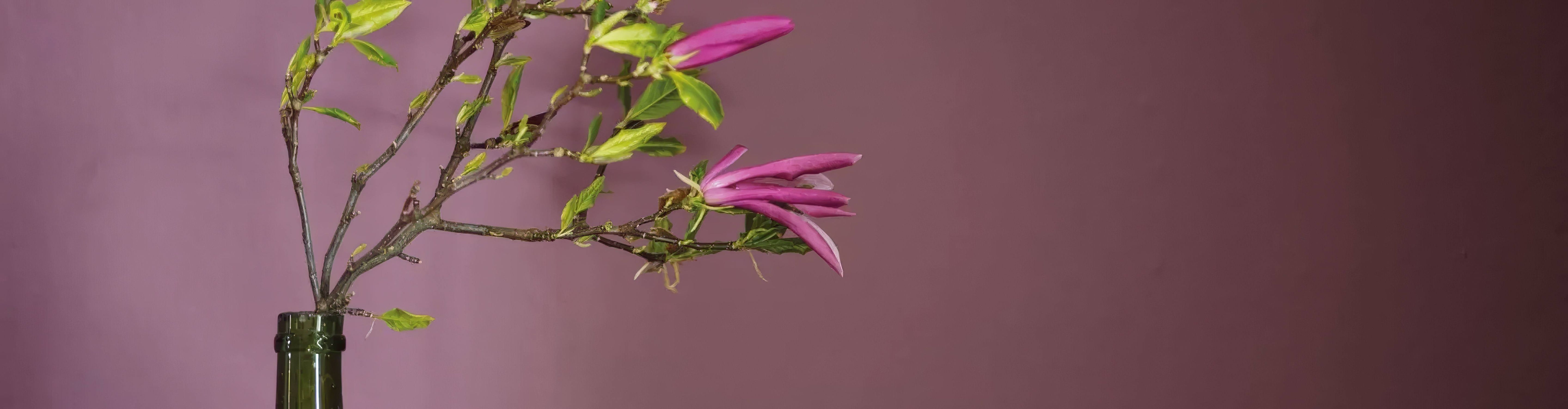 Red, Pink & Purple Paint | Wall & Ceiling Paint | Hyperion Tiles