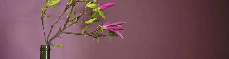 A slender green glass bottle holding a delicate branch with vibrant pink blossoms and fresh green leaves in red pink and purple paint collection
