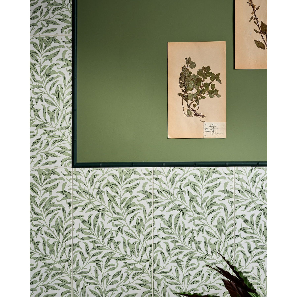Ca'Pietra Ornamento Composite Trim Bamboo forming a reeded border above patterned green wall tiles