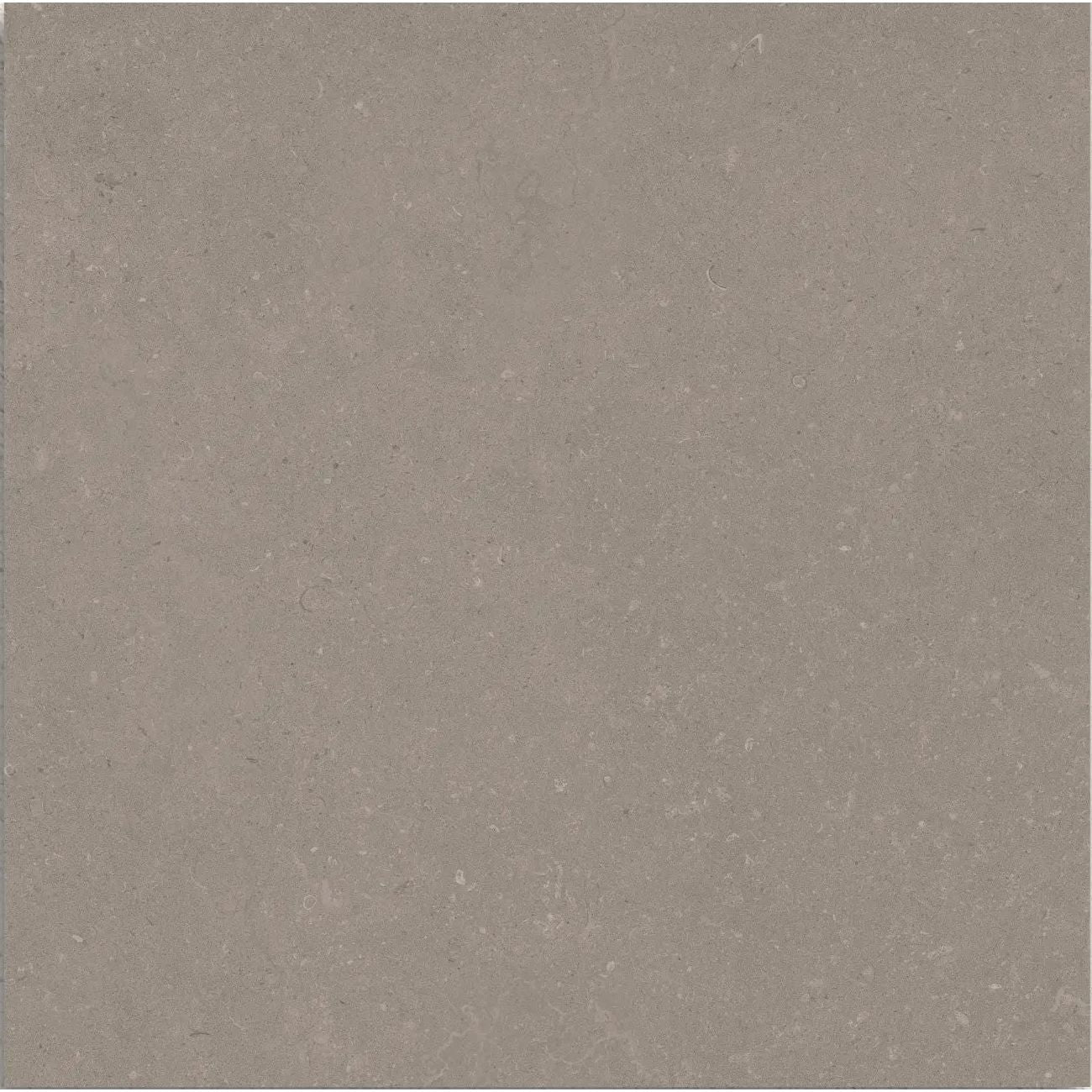 Osso Sand 60 x 60cm matt porcelain tile face detail