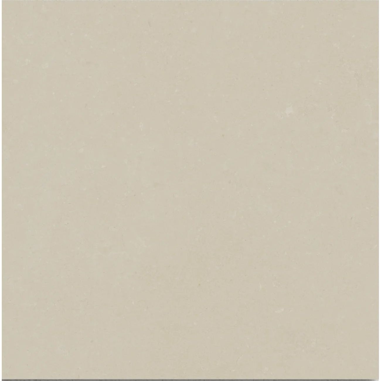 Osso Ivory 60 x 60cm matt porcelain tile face detail