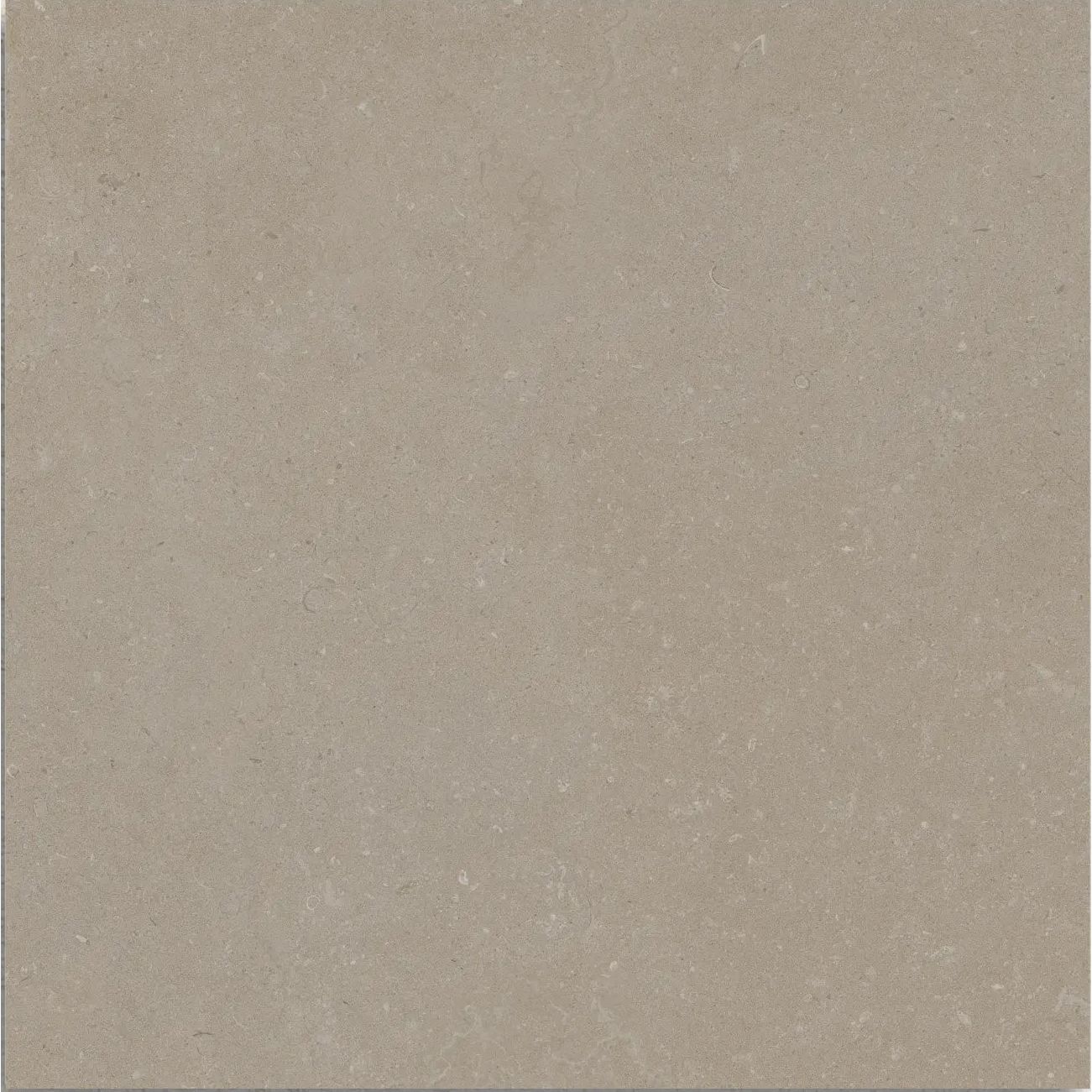 Osso Greige 60 x 60cm matt porcelain tile face detail