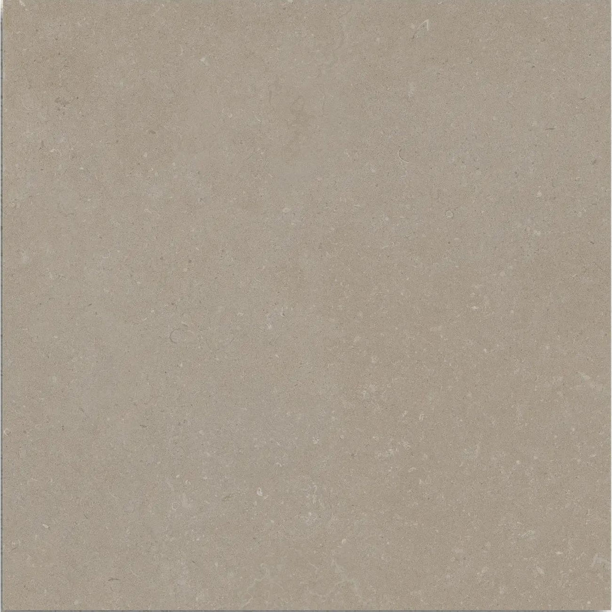 Osso Greige 60 x 60cm matt porcelain tile face detail
