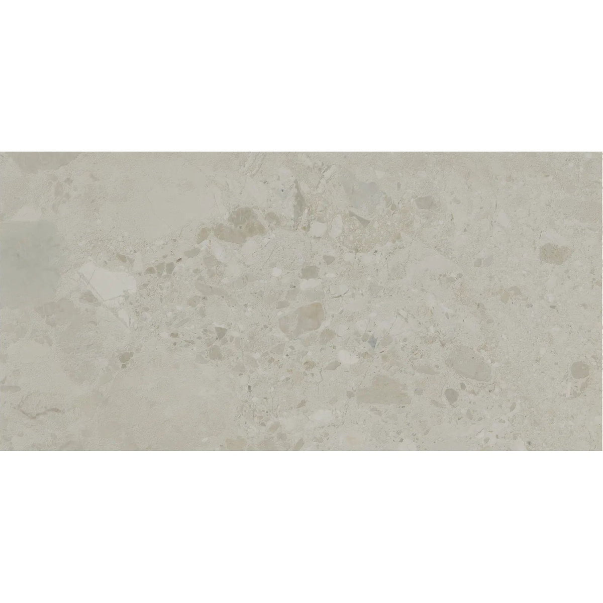 Bord Bone matt porcelain stone-effect tile 60 x 120cm face detail