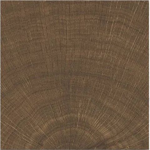 Fraser Espresso deep, cocoa-dark wood-effect matt porcelain tile in 10x10cm square format for walls and floors