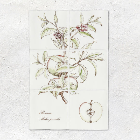 Apple Decorative 6-Tile Set On Cotton - alternate view
