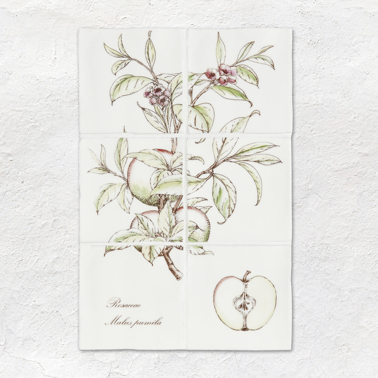 Apple Decorative 6-Tile Set On Cotton – detail view 2