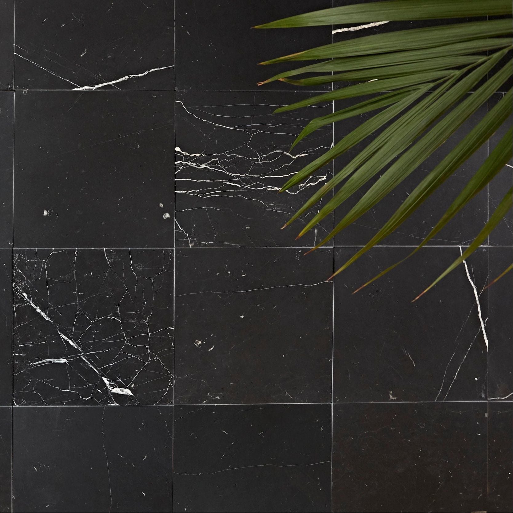 Chequers Court black marble tiles featuring elegant white veining for sophisticated interior design