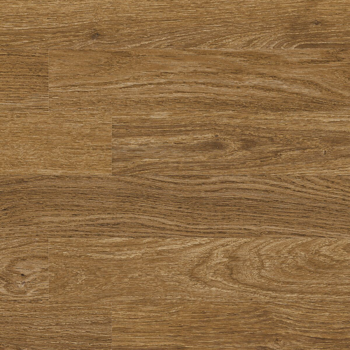 Single Cotswold Elm plank wood effect porcelain tile cut-out on white