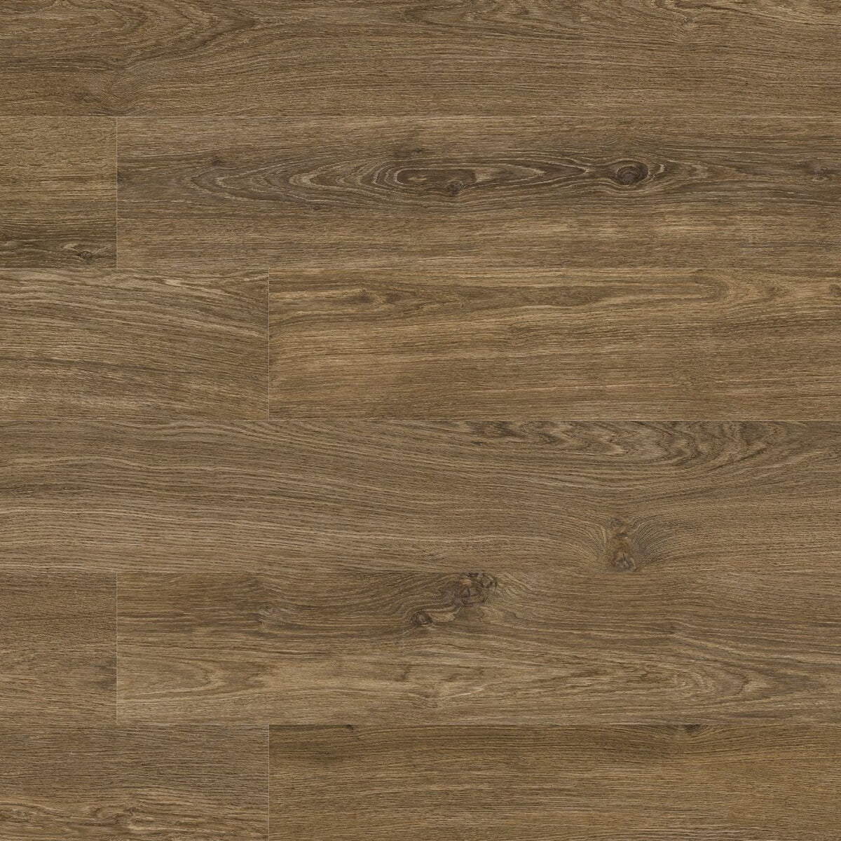 Single Cotswold Walnut plank wood effect porcelain tile cut-out on white