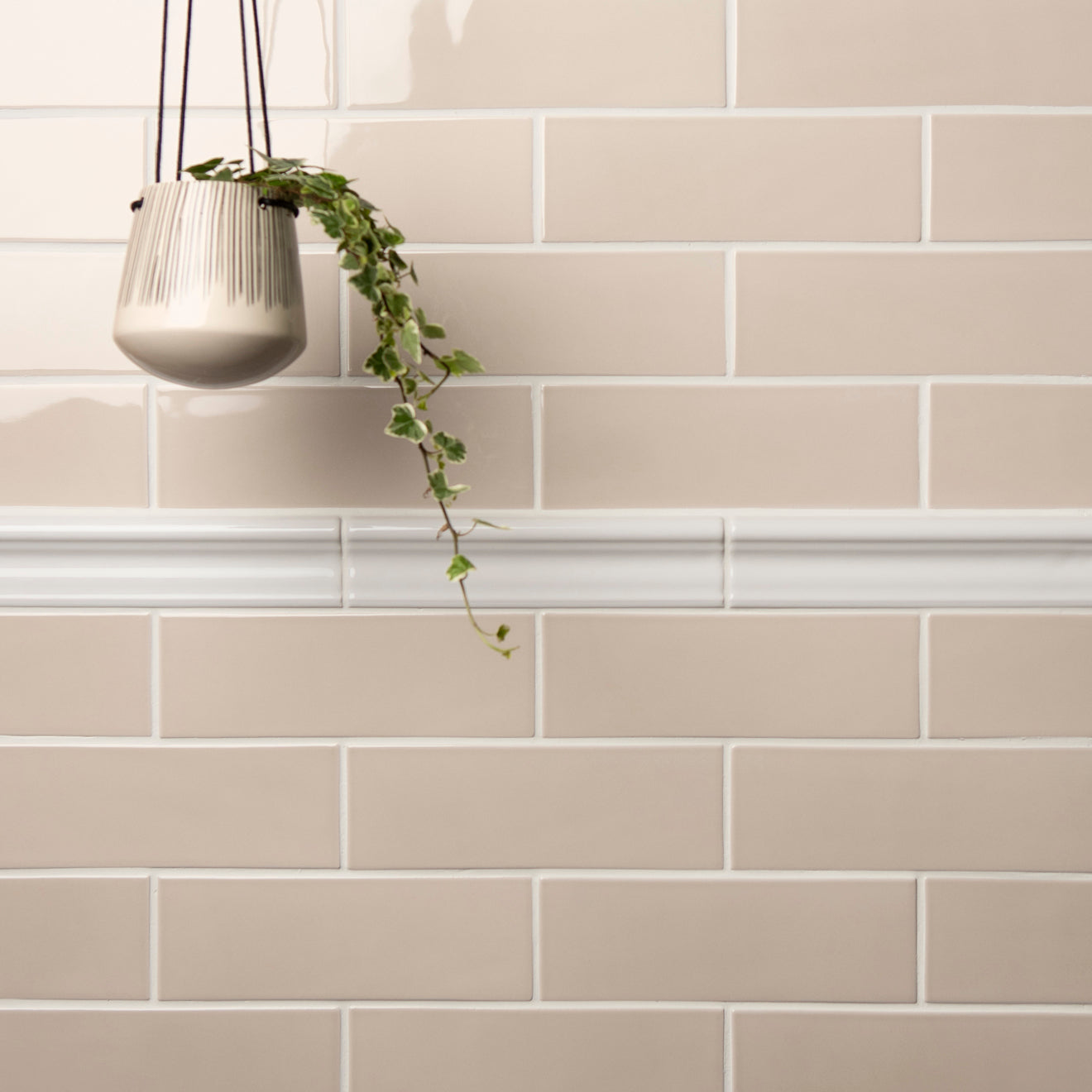 Beige tiles with a white border and a hanging plant