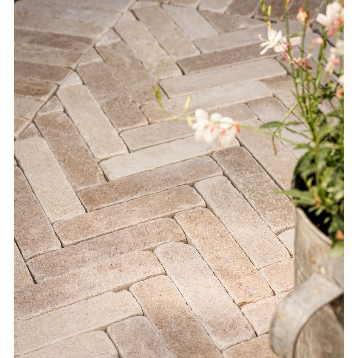 Dijon tumbled limestone 20 x 5cm cream and beige natural stone cobbles in a garden setting