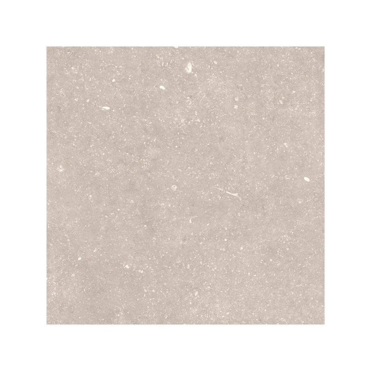 Frame Dune Beige porcelain tile 60 x 60cm surface detail