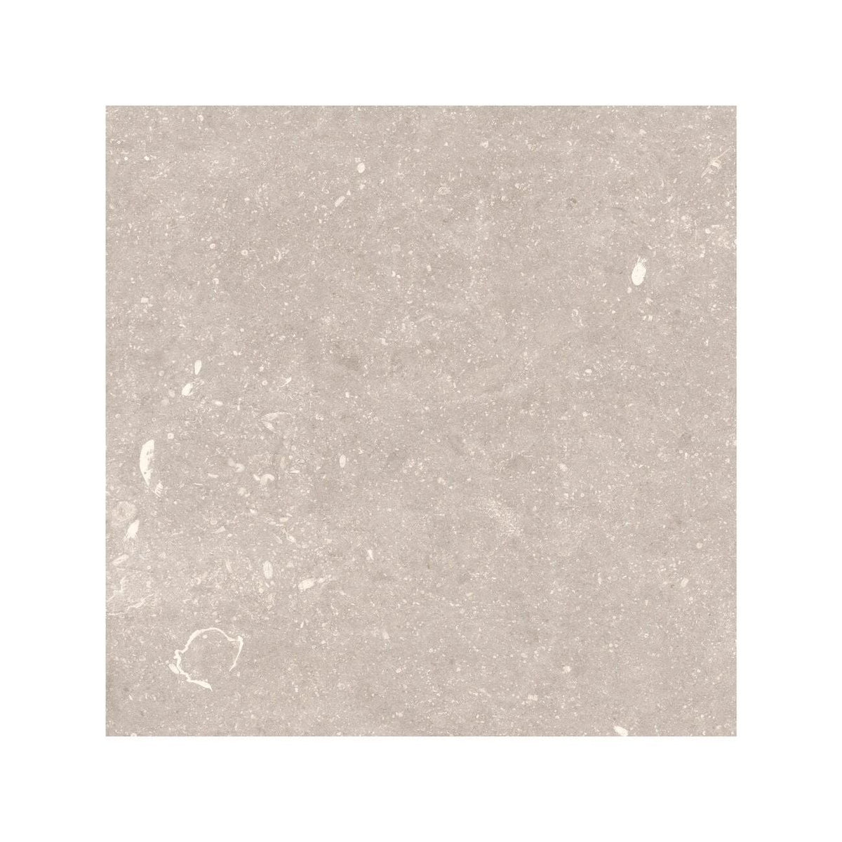 Frame Dune Beige porcelain tile 60 x 60cm texture
