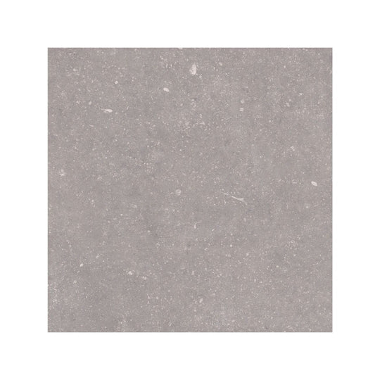 Frame Moor Taupe Porcelain Tile 60 x 60cm - alternate view