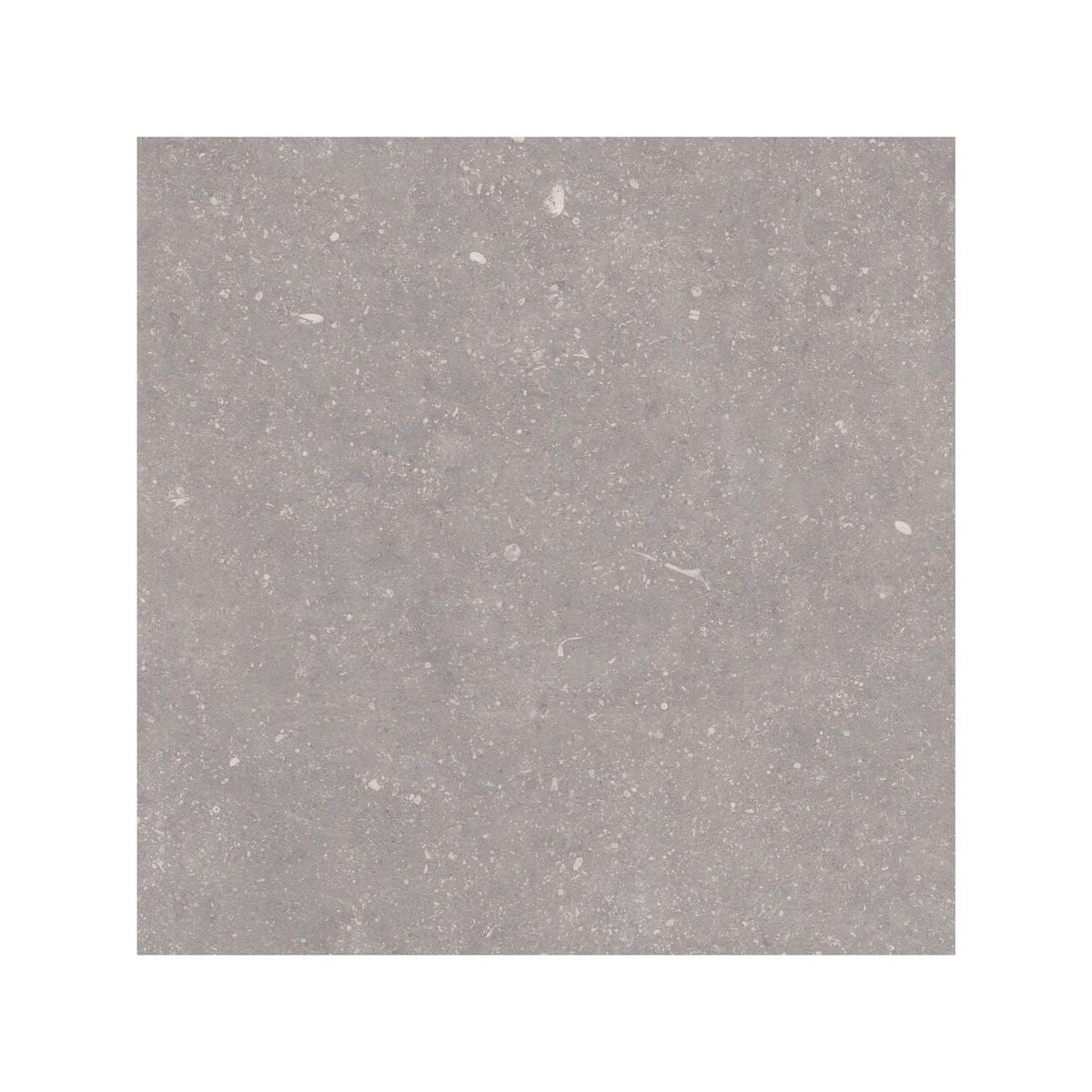 Frame Moor Taupe porcelain tile 60 x 60cm surface detail