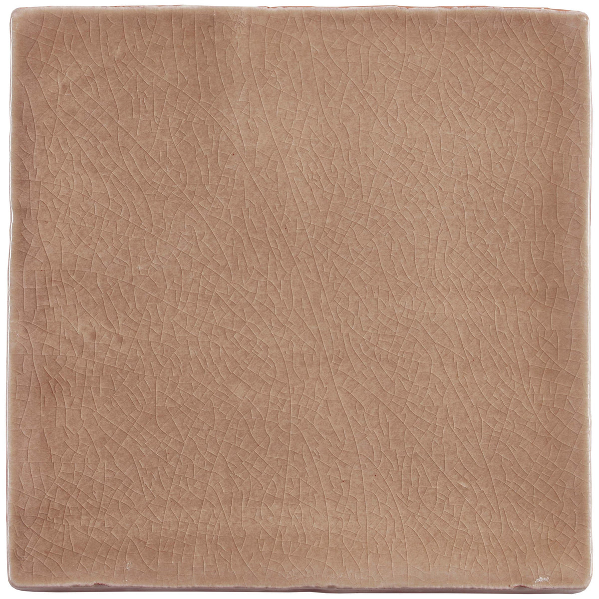 Arcadian Birch Field Tile 130x130mm – detail view 4