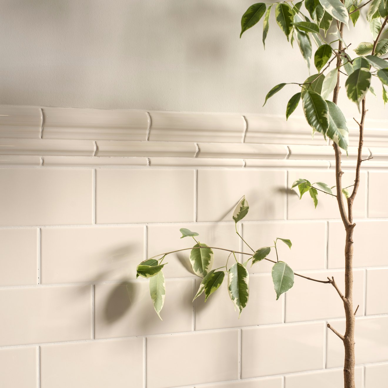 Ivory Albert Moulding Ceramic Wall Tile 152x40mm