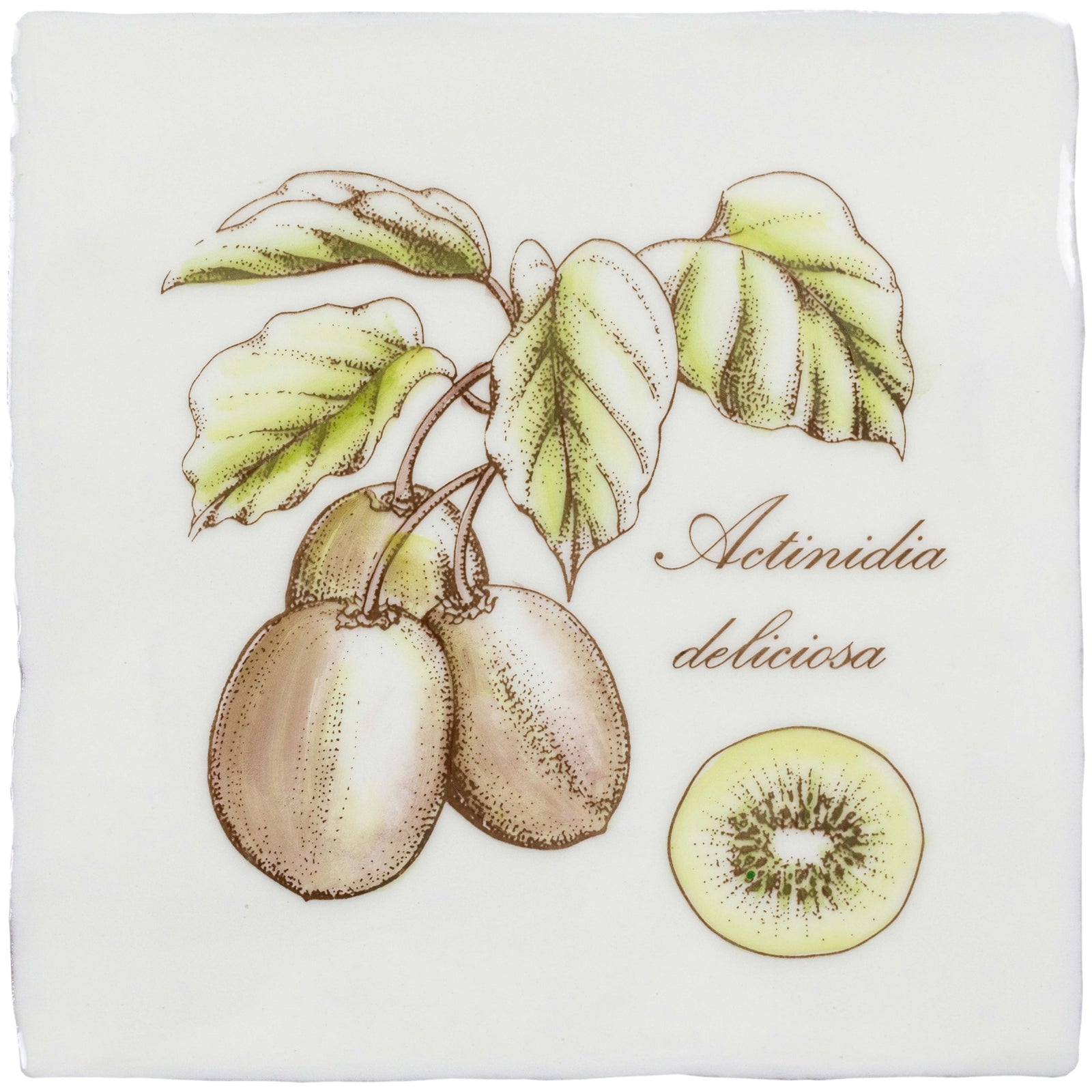 Kiwi Decorative Tile Sepia On Cotton – detail view 3