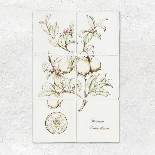 Lemon Decorative 6-Tile Set On Cotton - alternate view