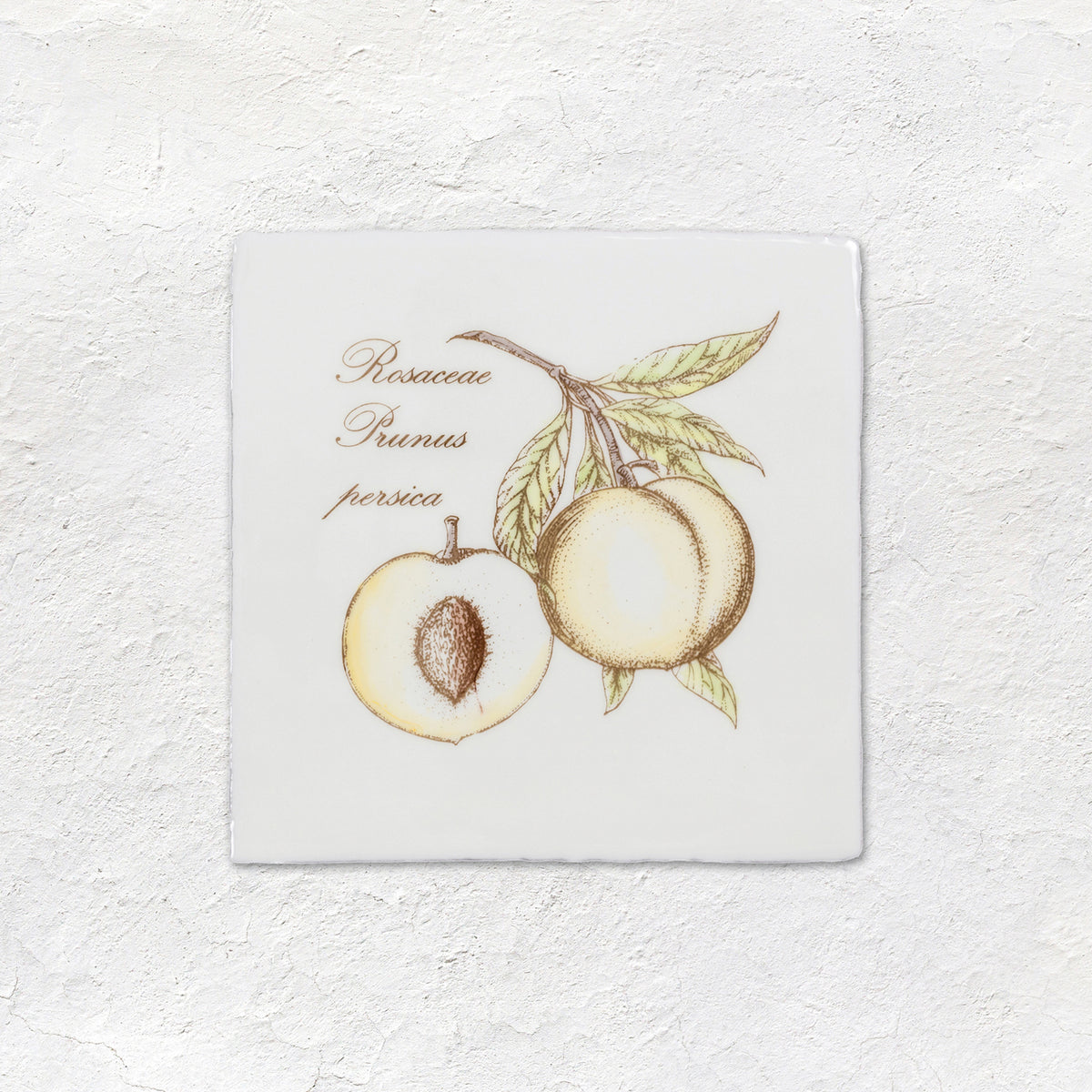 Peach Decorative Tile Sepia On Cotton – detail view 2