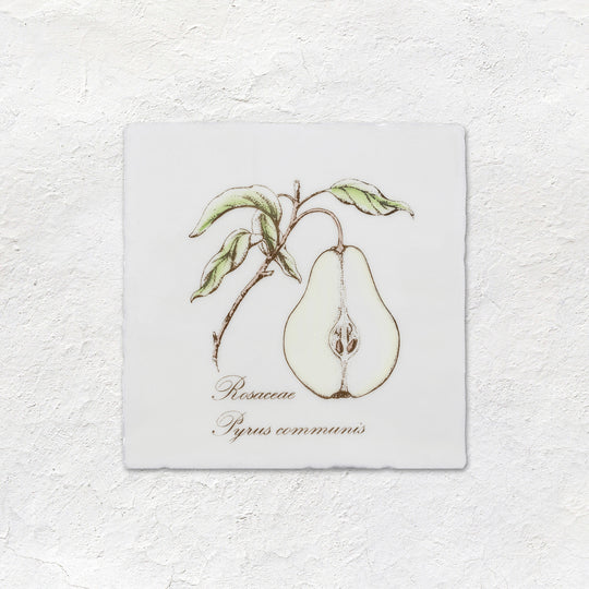 Pear Decorative Tile Sepia On Cotton - alternate view