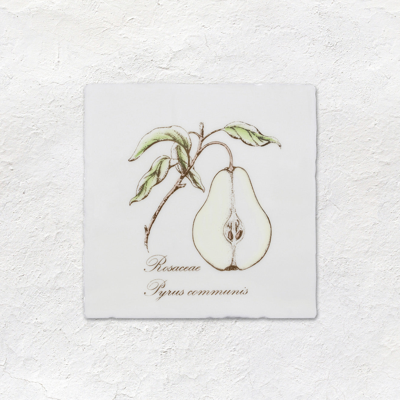 Pear Decorative Tile Sepia On Cotton – detail view 2