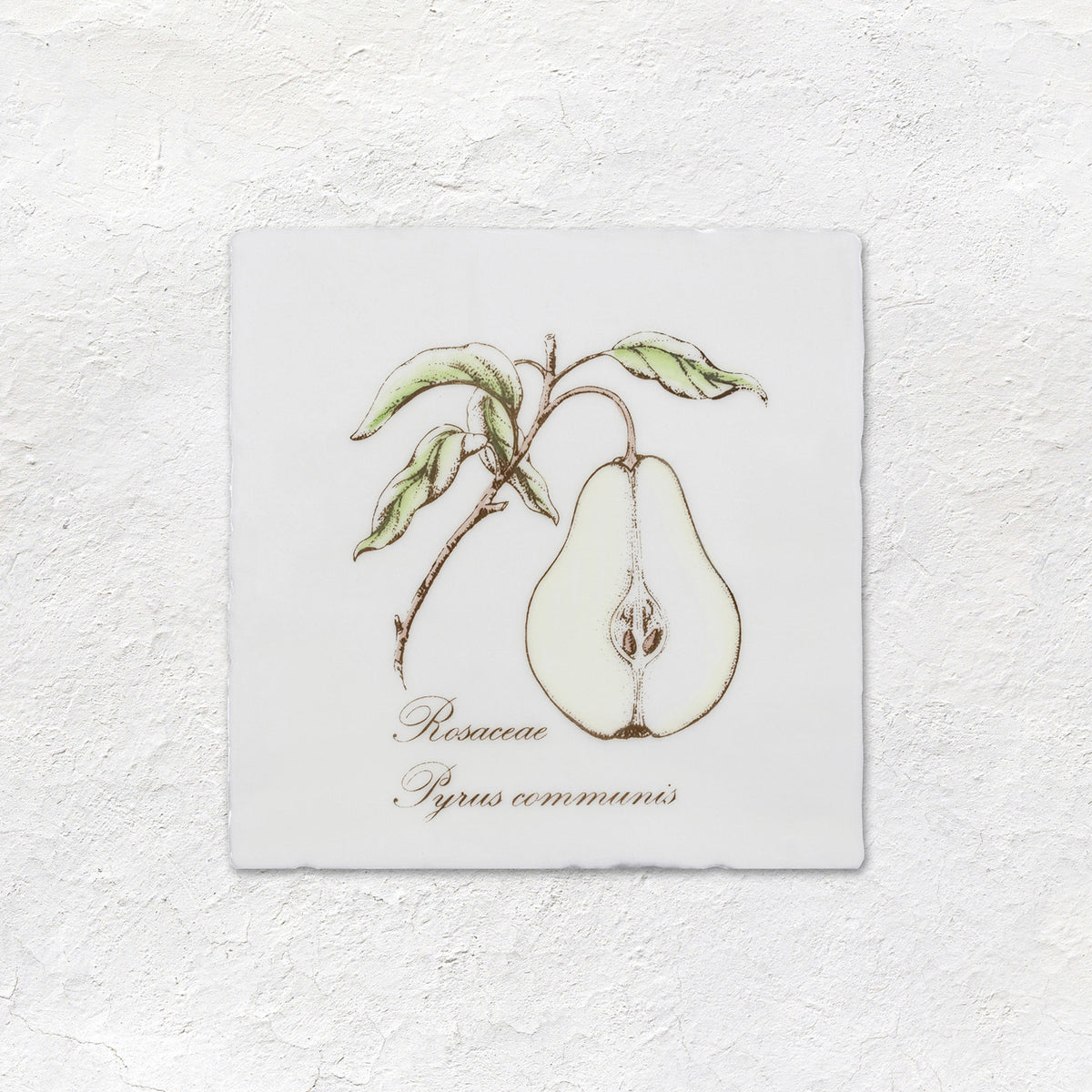 Pear Decorative Tile Sepia On Cotton – detail view 2