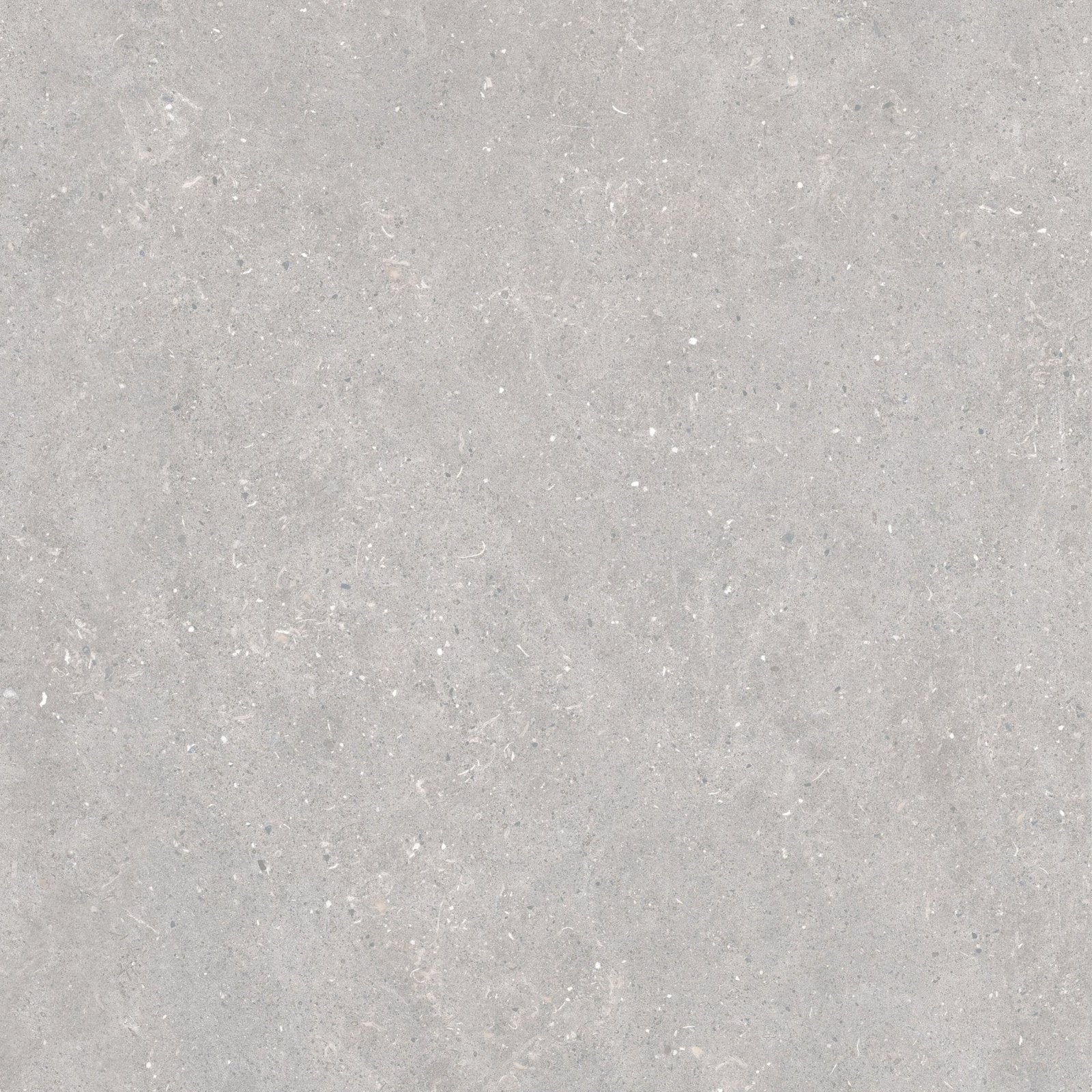 Acorn pearl 60 x 60cm gray textured tile with subtle speckles and a matte finish for flooring and walls