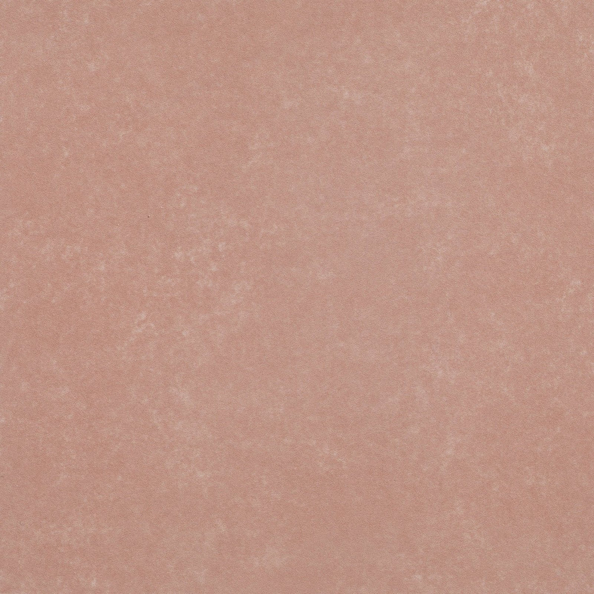 Adventuras rose field porcelain tile with a textured matte finish and terracotta color featuring subtle tone variations