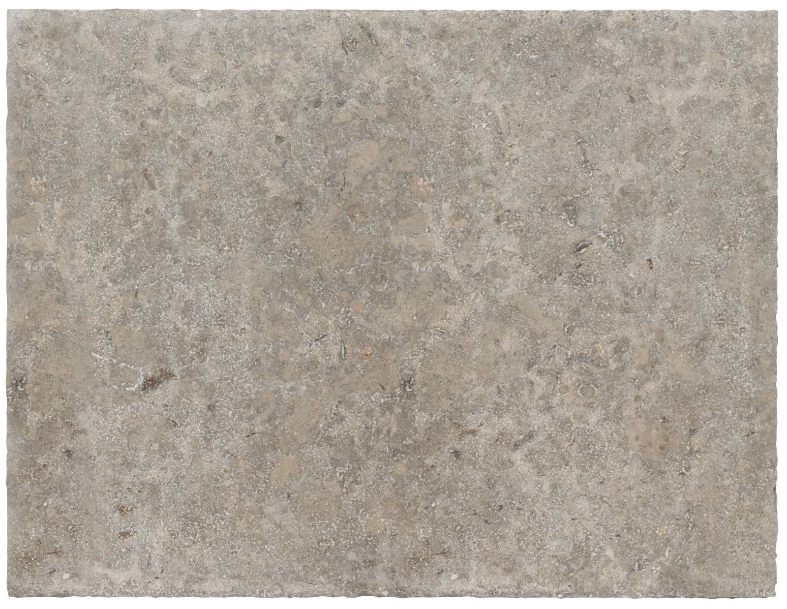 Agencourt Limestone Seasoned Finish