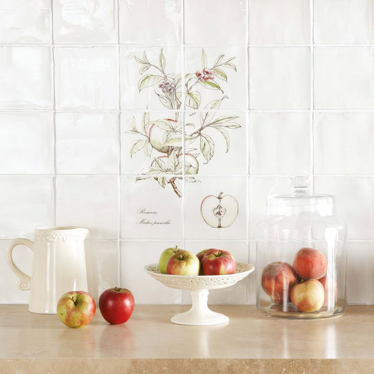White ceramic apple themed tile mural with botanical illustrations and text on cotton apple 6 tile panel
