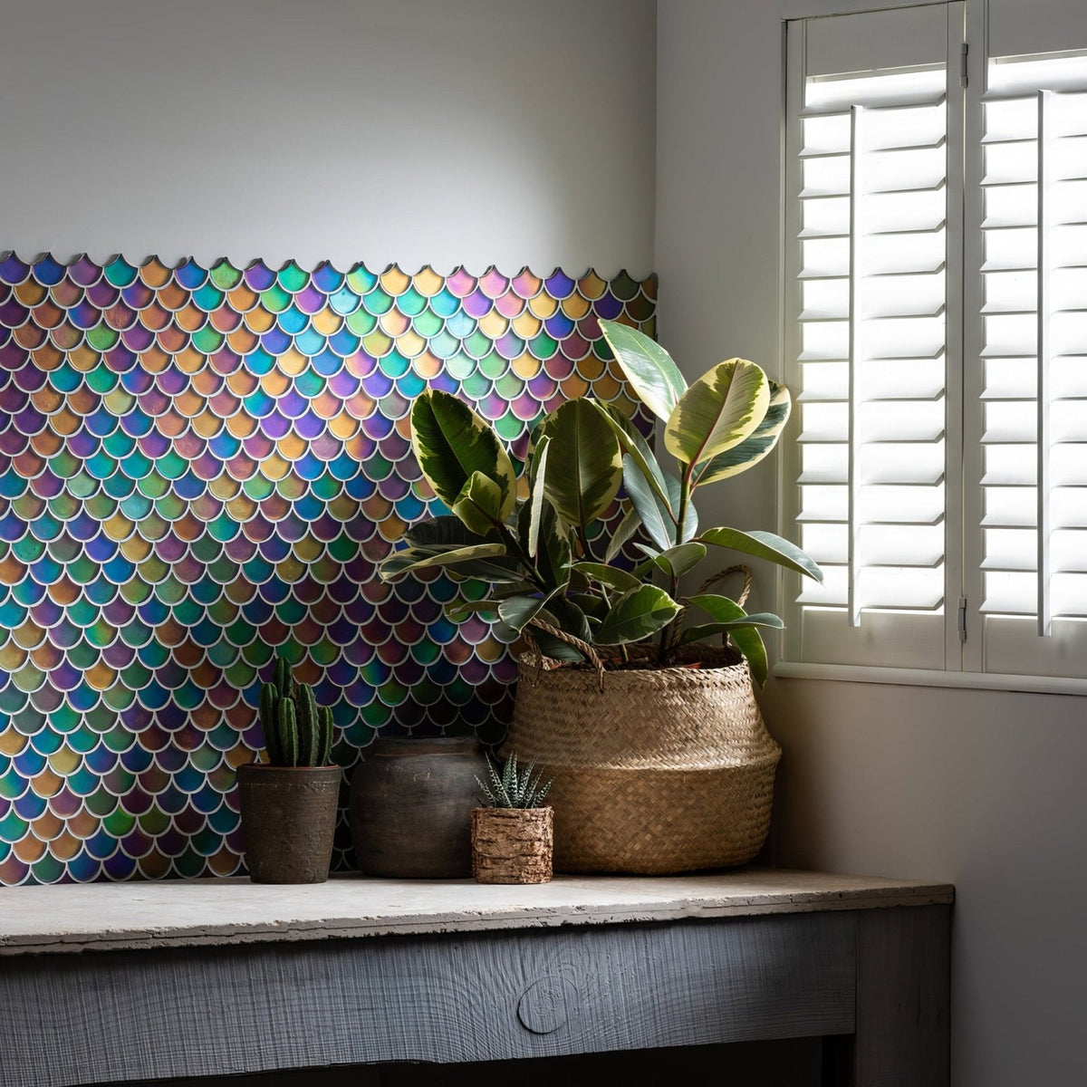 Aqua Scale Frosted iridescent fish-scale glass mosaic styled with a green ficus plant in a woven basket