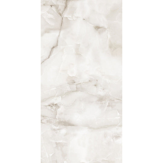 Aquarius Onyx Grey 60 x 120cm Wall & Floor Tile - alternate view
