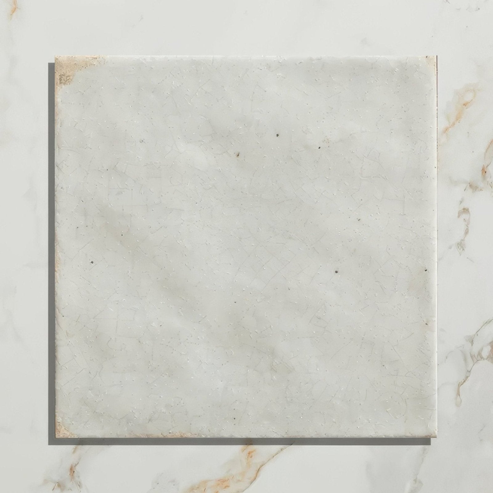 Square white marble porcelain tile arte italiano blanco with subtle veining and slightly textured surface