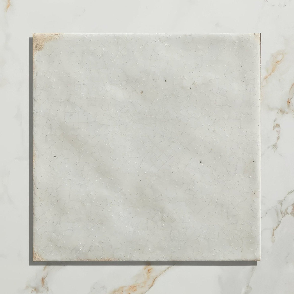 Square white marble porcelain tile arte italiano blanco with subtle veining and slightly textured surface