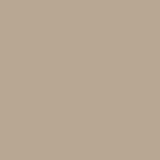 Fired Earth Basswood Paint - alternate view