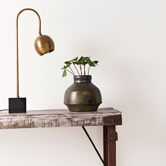 Fired Earth Bianco Paint off-white painted wall with a bronze vase of greenery
