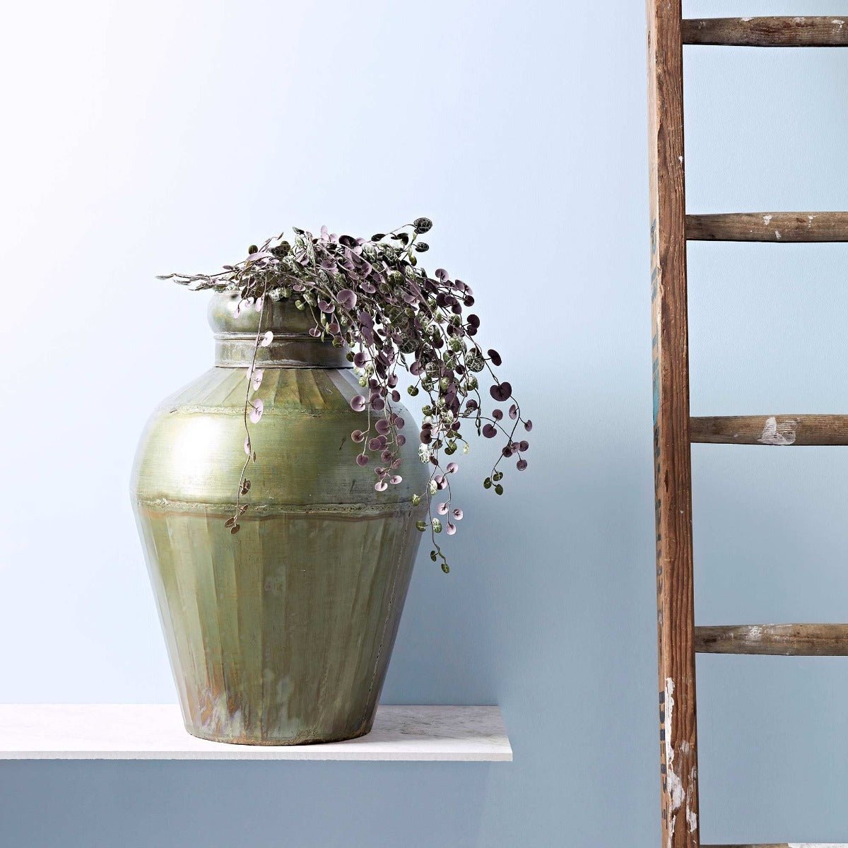Blue ashes rustic olive green ceramic vase with vertical ridges holds cascading purple leafed trailing plants