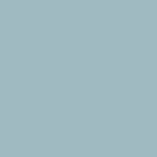 Fired Earth Blue Grass Paint - alternate view