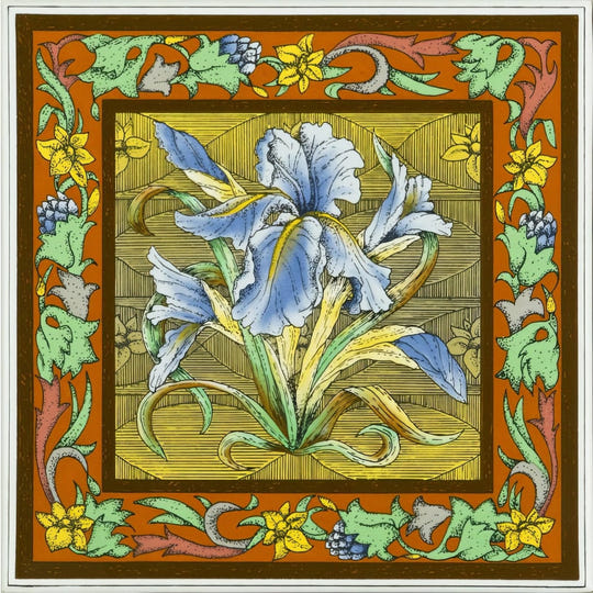 Blue Iris Single Tile On Brilliant White - Ceramic - Decorated