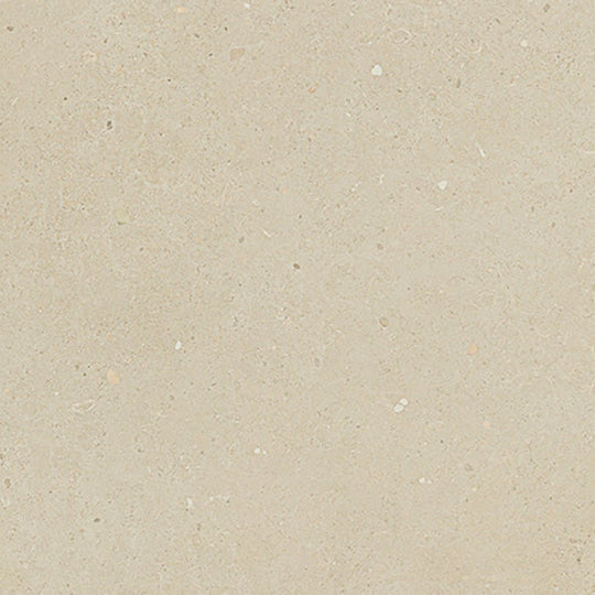 Brera Bloom 60 x 60cm Porcelain Wall & Floor Tile - alternate view