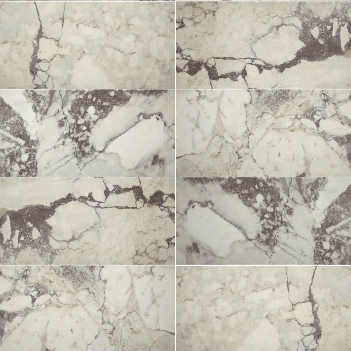 Calacatta Viola Honed Marble Tile