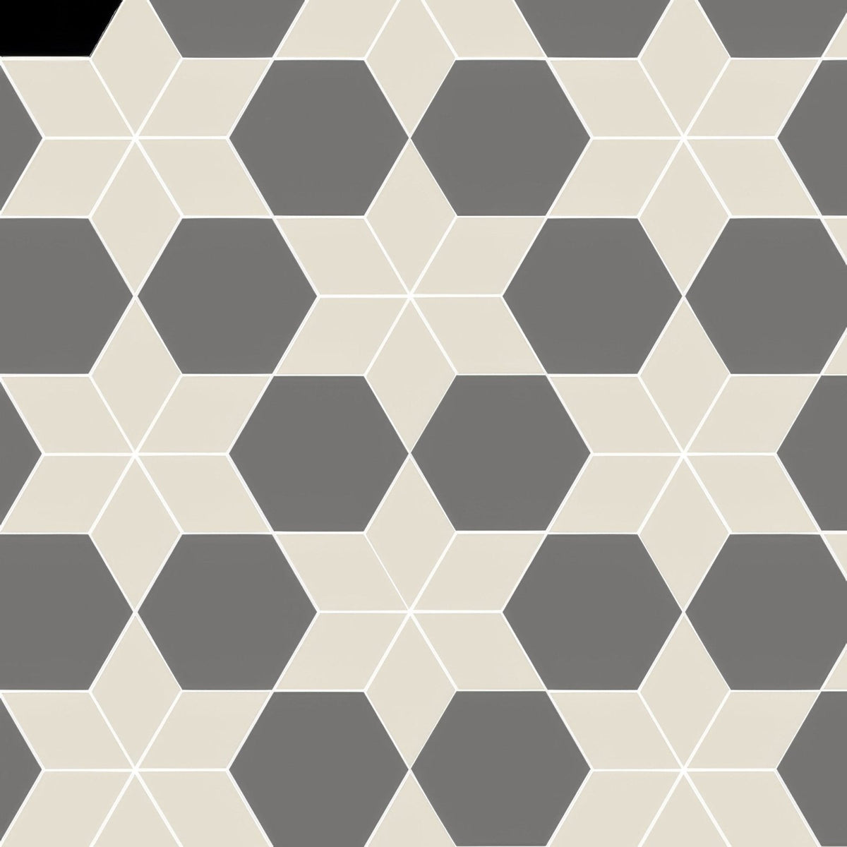 Geometric hexagonal tile pattern in carlisle revival grey and dover white with alternating gray and off-white shades