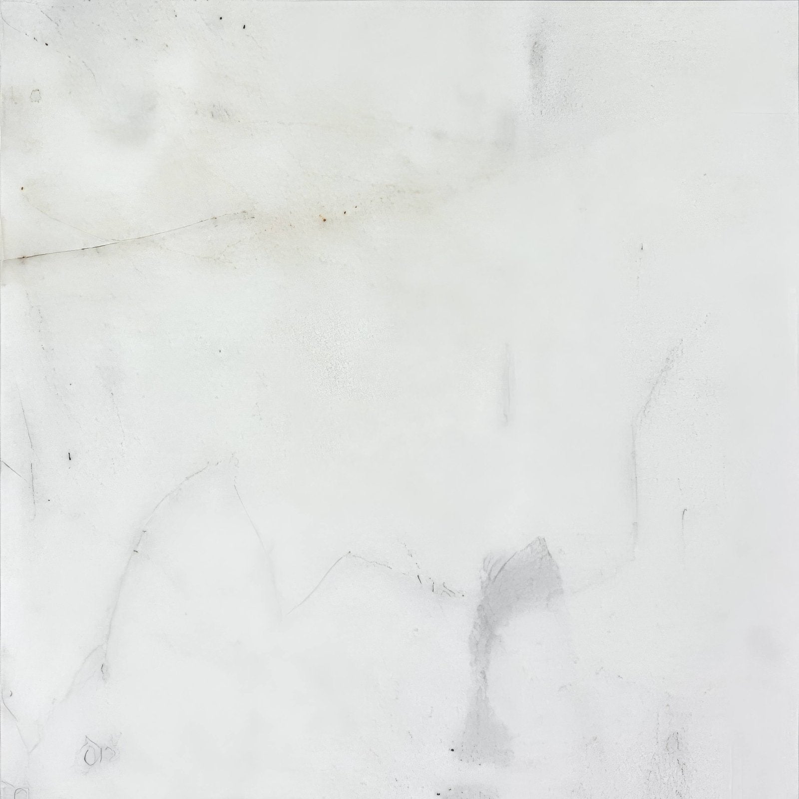 Carrara white marble honed tile 30.5 x 30.5cm with subtle gray veining on a white marble surface