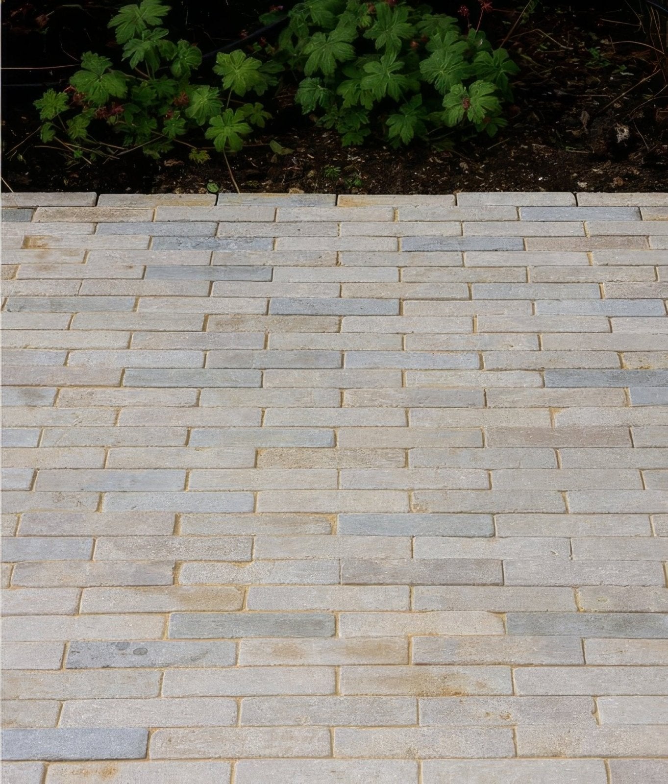 Castilan Limestone Tumbled Klinkers