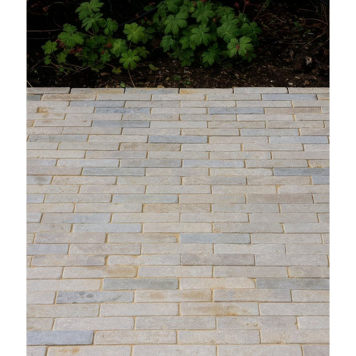 Light gray and beige rectangular castilan limestone tumbled klinkers arranged in a staggered brick pattern