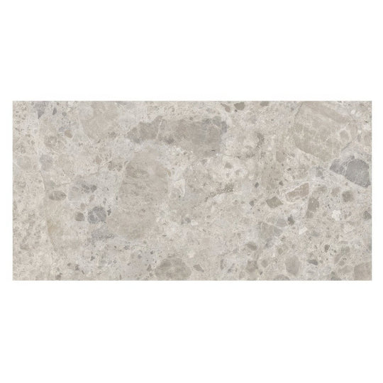 Ceppo Gris 60 x 120cm Porcelain Floor Tile - alternate view