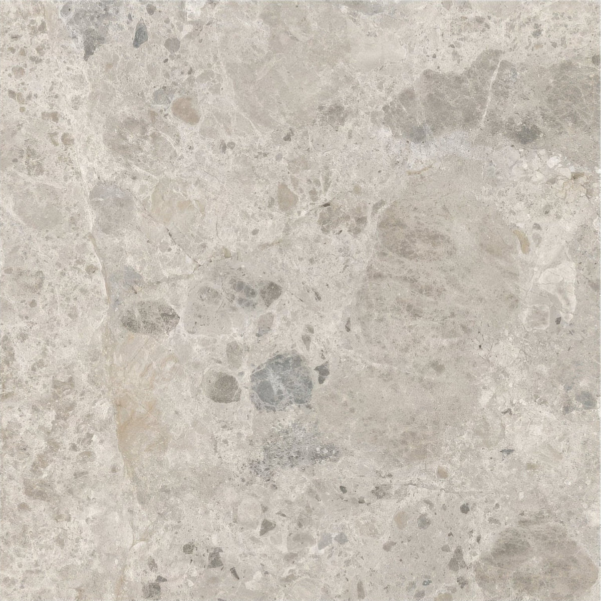 Gray marble ceppo gris 60 x 60cm tile with subtle veining and speckled patterns for elegant flooring and surfaces