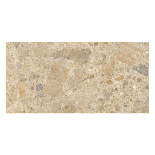 Ceppo Mix 60 x 30cm Porcelain Floor Tile - alternate view